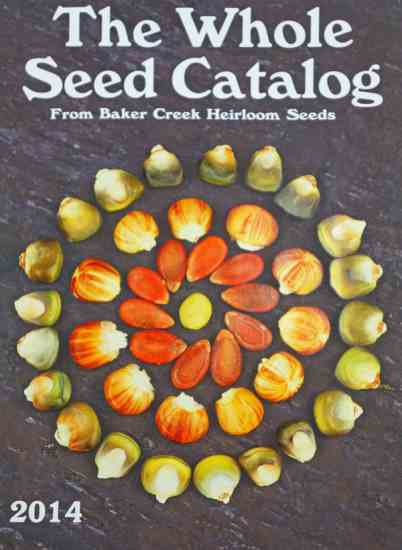 
The stunningly beautiful photographs in Baker Creek's "The Whole Seed Catalog" are intermingled with articles about saving seeds, canning garden-fresh produce and more. This glossy 365 page book is a minor investment, however, ringing in at $7.95. Worth it? Judging by the way our editors have been jostling to see our copy, we say "yes!" Baker Creek also offers a free, 212 page catalog entitled "Good Seeds" that's only slightly less impressive. Learn more at www.RareSeeds.com.
